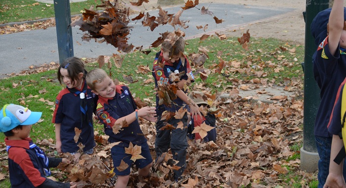 Cubs throwing autumn leaves